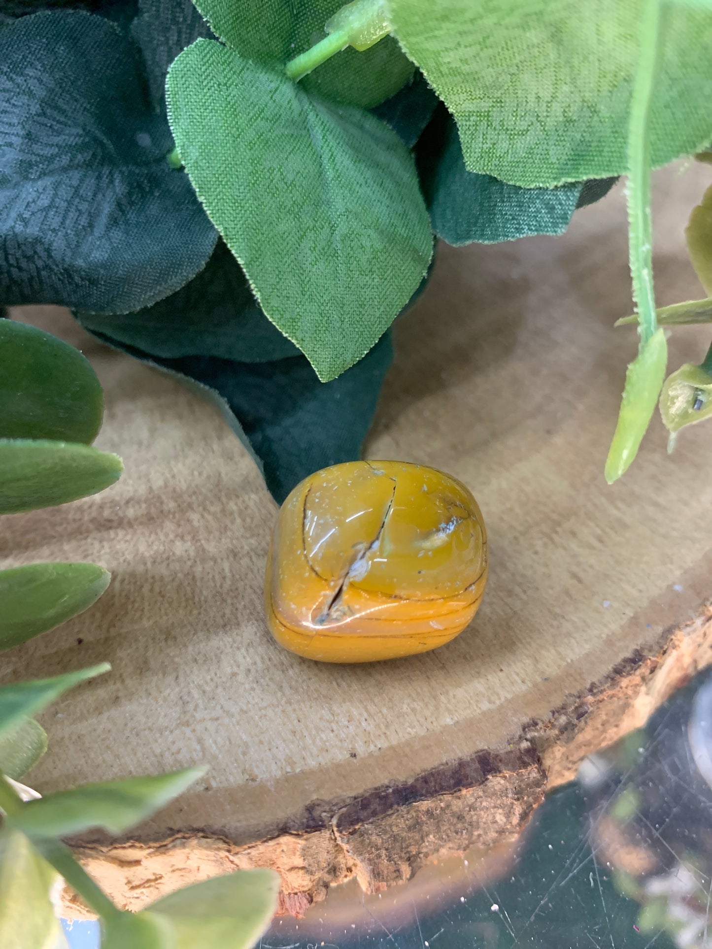 Jasper, Moonkite