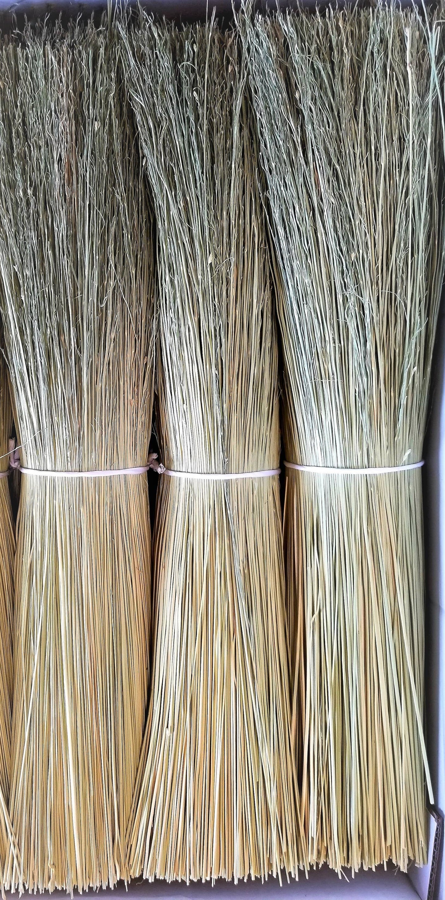 Broom Corn: 10 Pounds