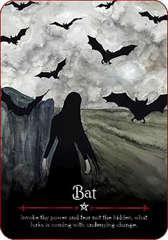 Seasons of the Witch: Samhain Oracle by Lorriane Anderson: Flashcards; 180 pages / English