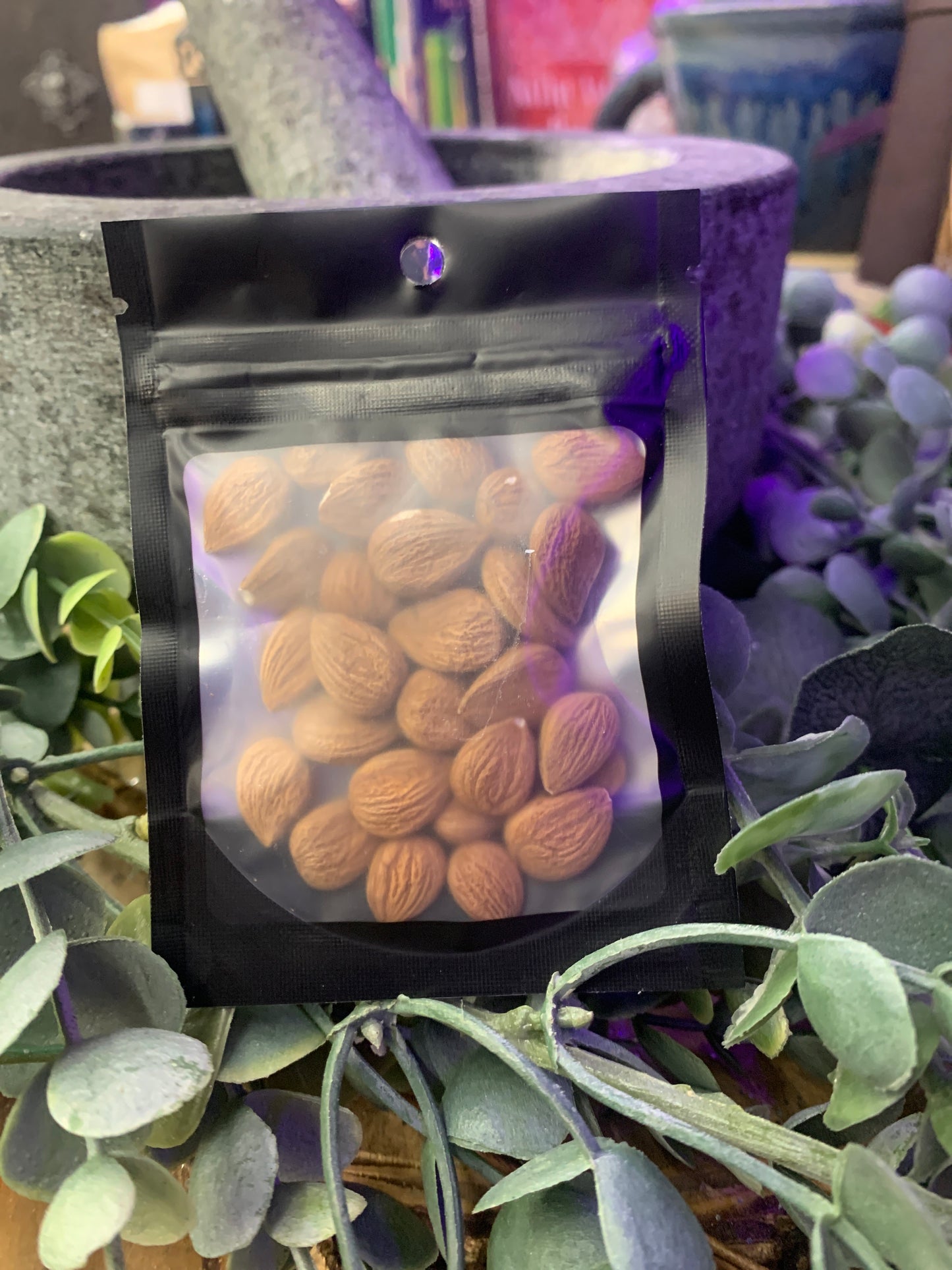 Apricot Seeds