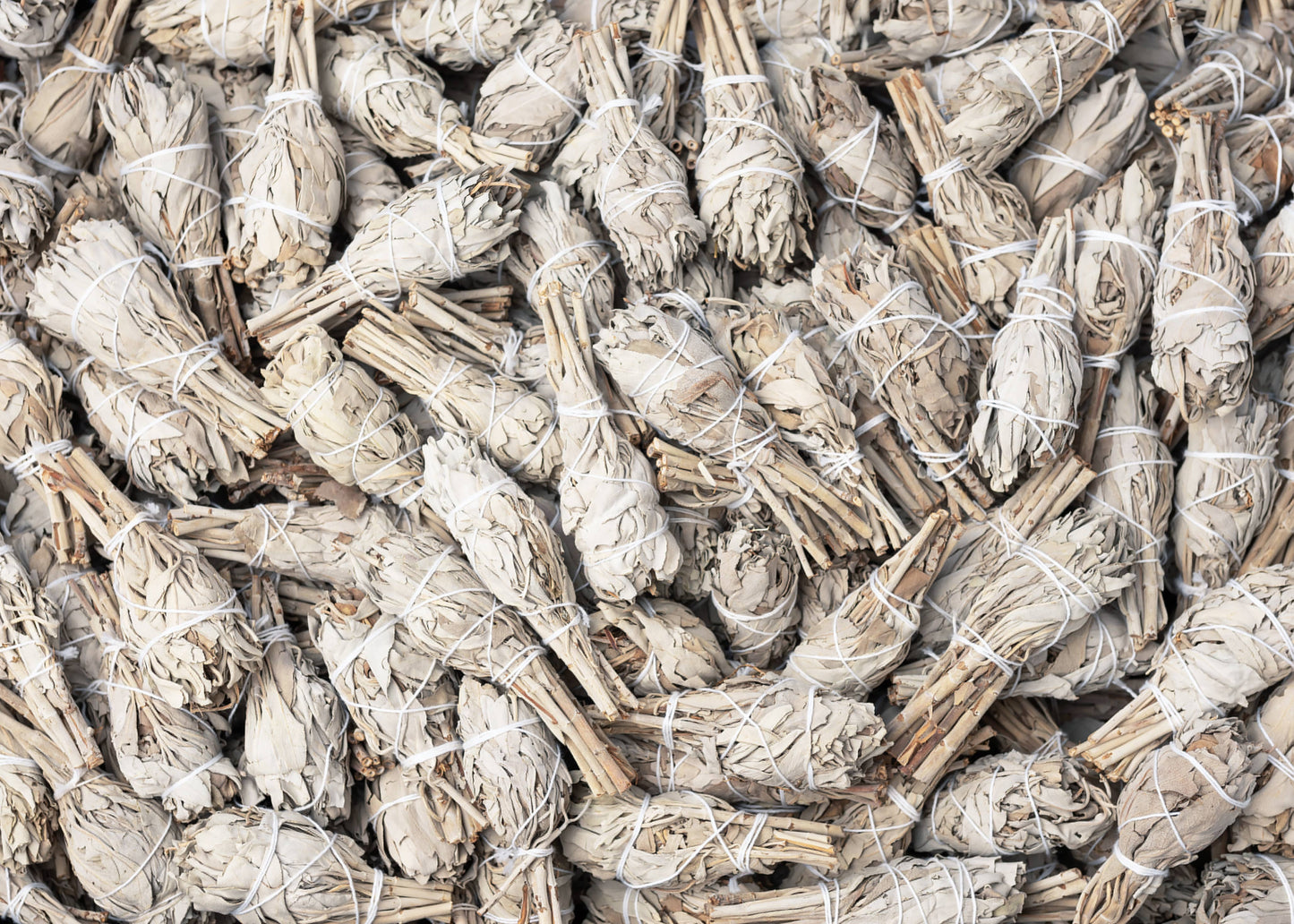 California White Sage (Salvia Apiana) Torch Smudge Sticks