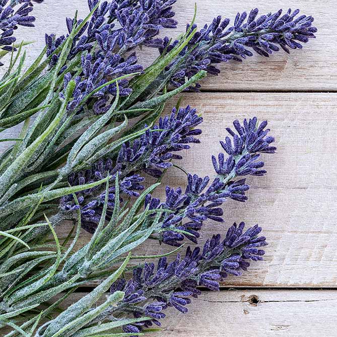 Lavender Oil: .5 fl oz