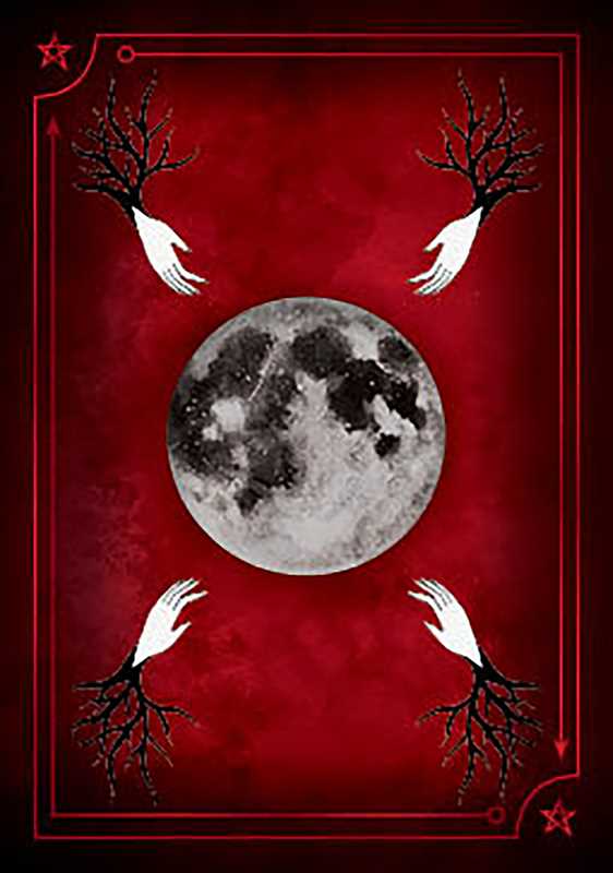 Seasons of the Witch: Samhain Oracle by Lorriane Anderson: Flashcards; 180 pages / English