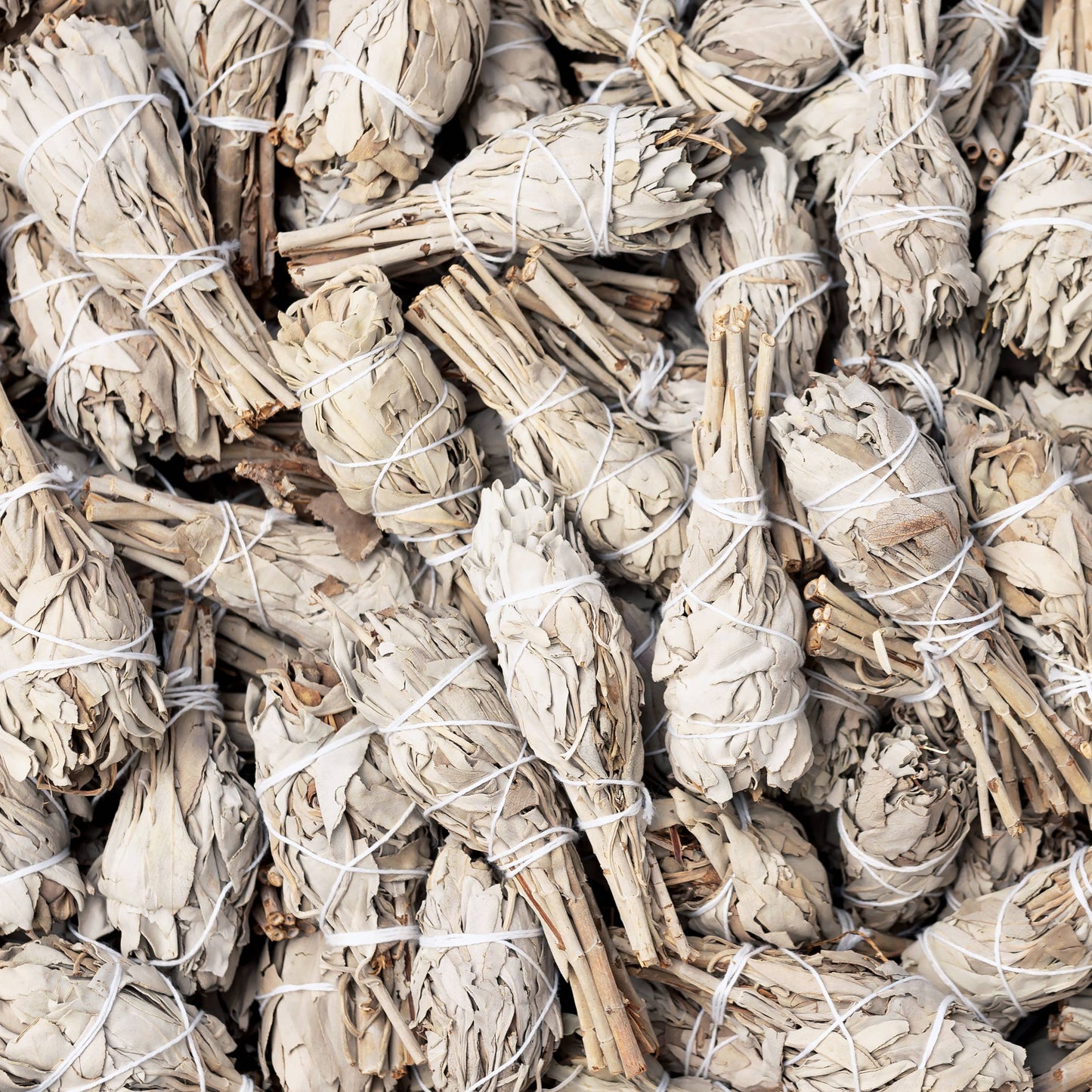 California White Sage (Salvia Apiana) Torch Smudge Sticks