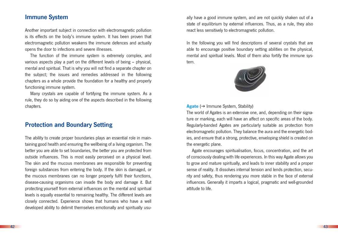 Crystal Protection from 5G and EMF Pollution by Barbara Newerla: Paperback; 80 pages / English