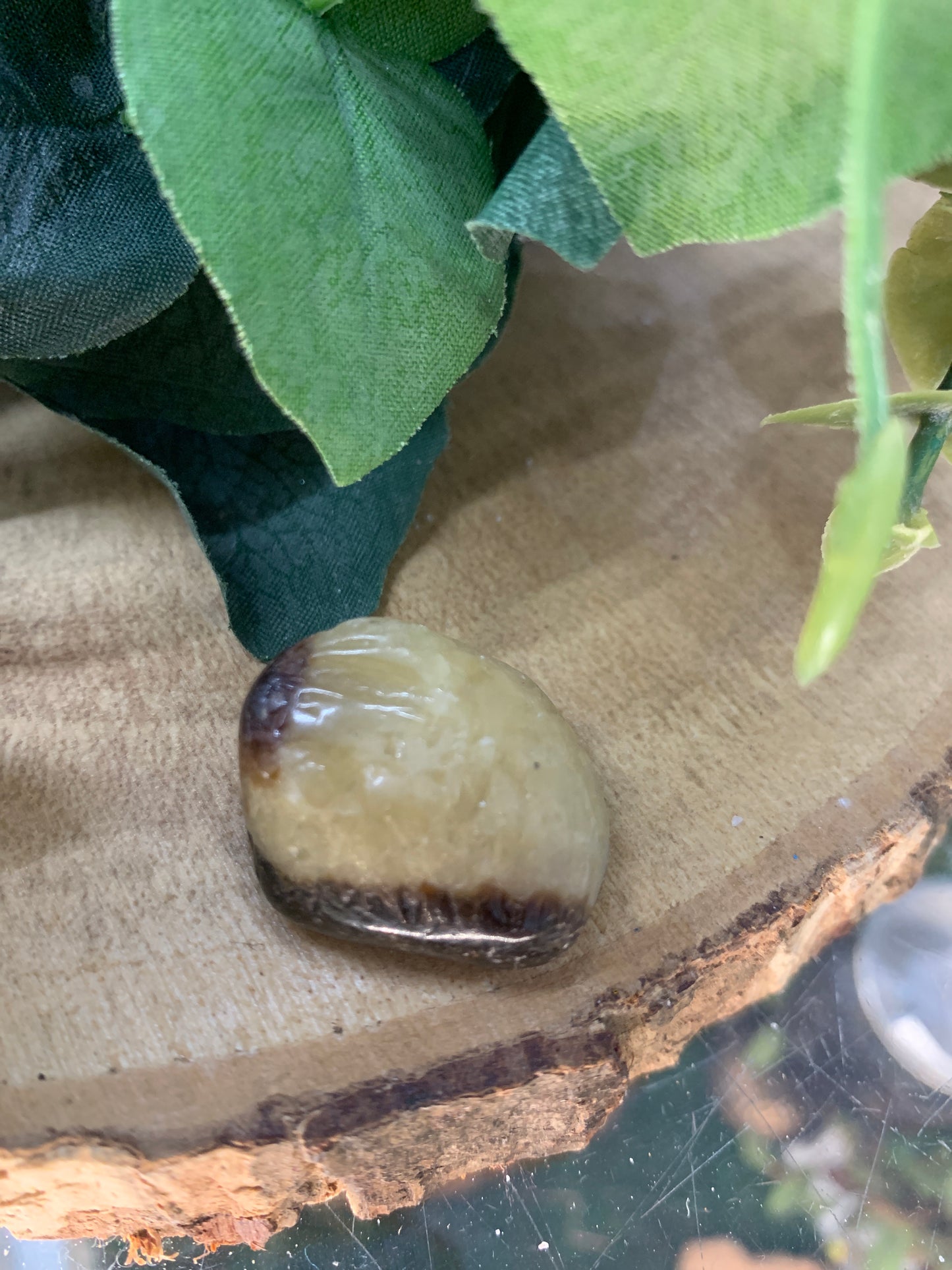 Septarian, Dragon Stone