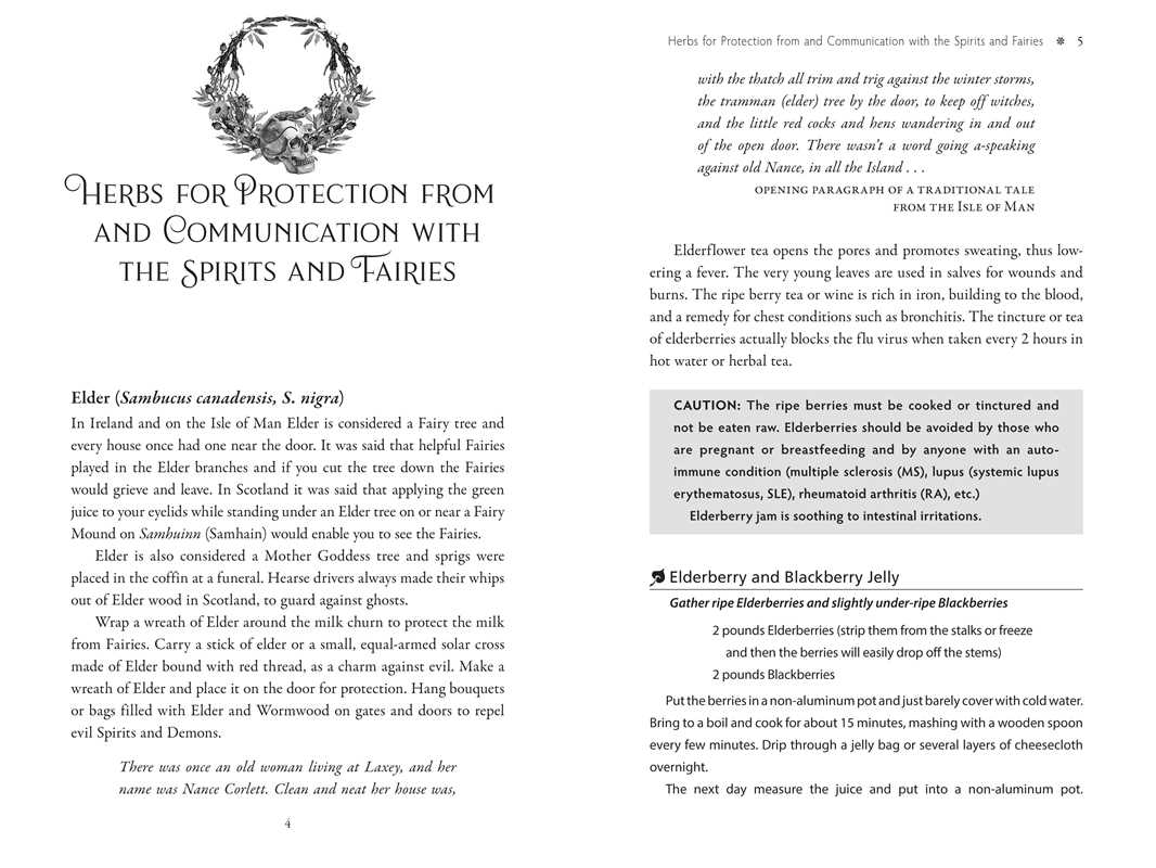 Sacred Herbs of Samhain by Ellen Evert Hopman: Paperback; 216 pages / English