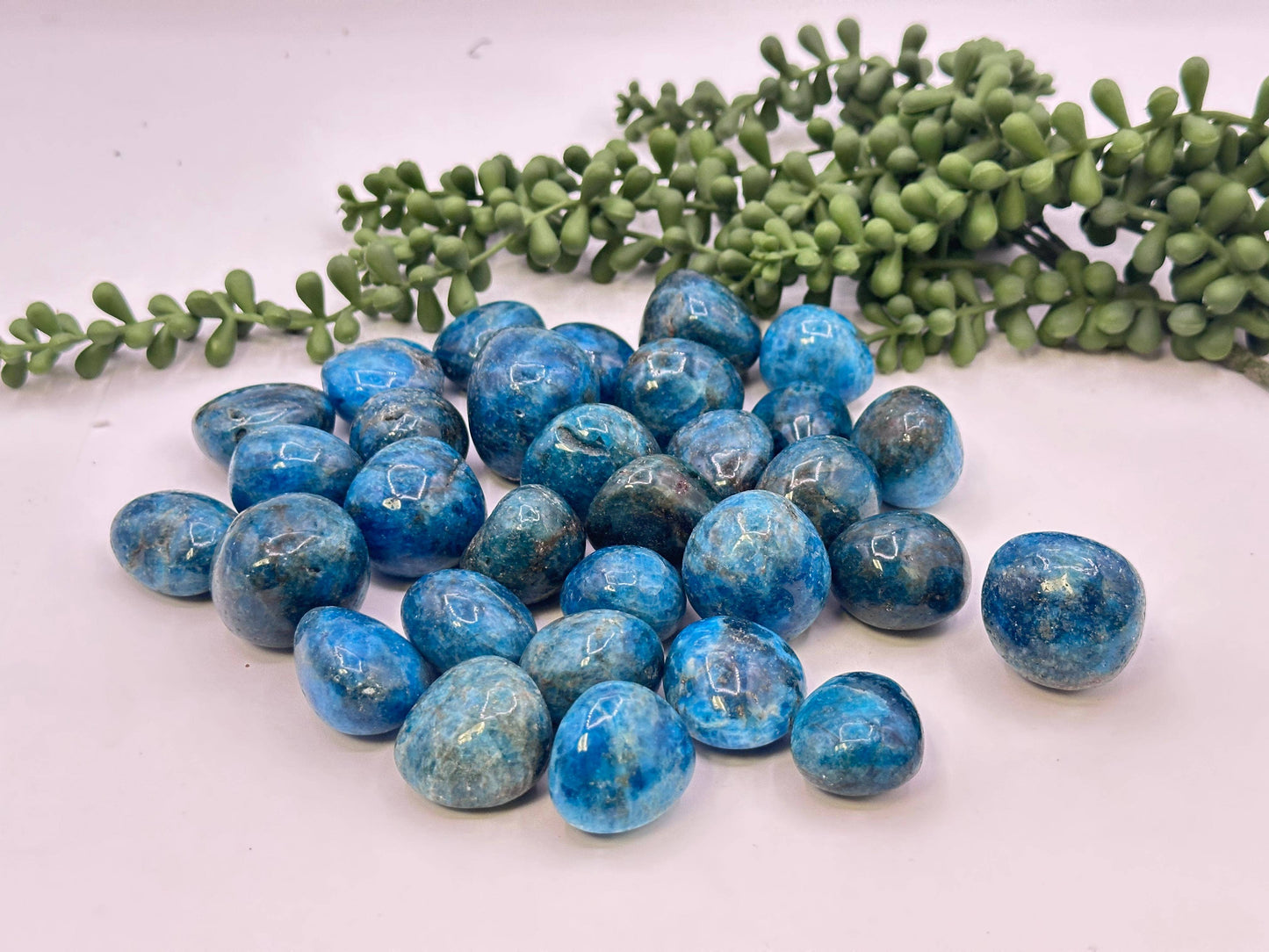 Blue Apatite Tumbled Stones (0.5kg/1.1lbs) 30-35mm AAA: 0.5KG/1.1LBS