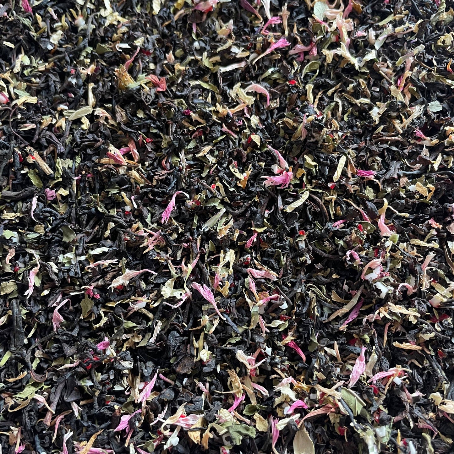 Rudolf the Red Nosed Reindeer - Candy Cane BLACK TEA: Mini Sized
