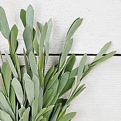 27065 - 14in Foamy Willow Leaves Bush-green