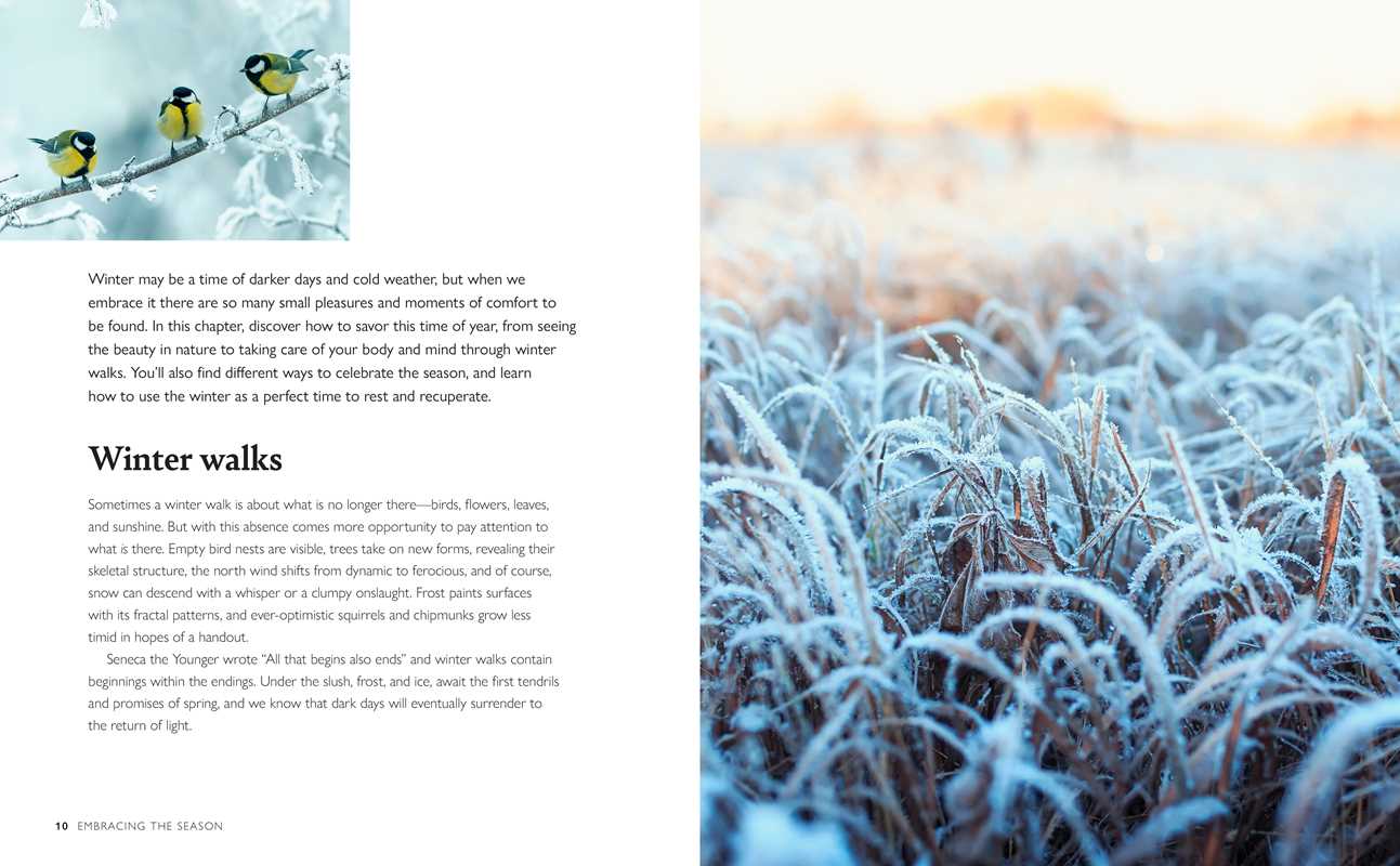 Winter Wellbeing by CICO Books: Hardcover; 144 pages / English