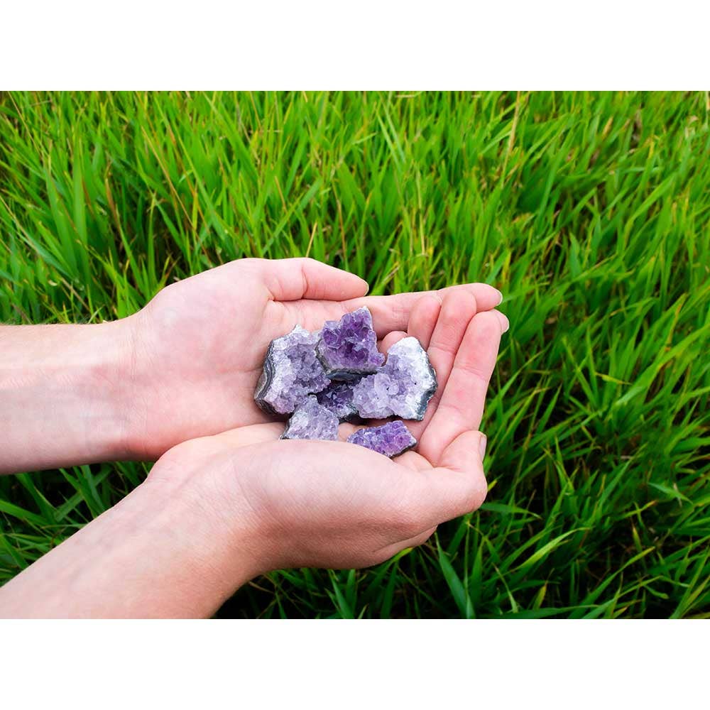 Rough Druzy Clusters - Amethyst Small (1lb): Amethyst