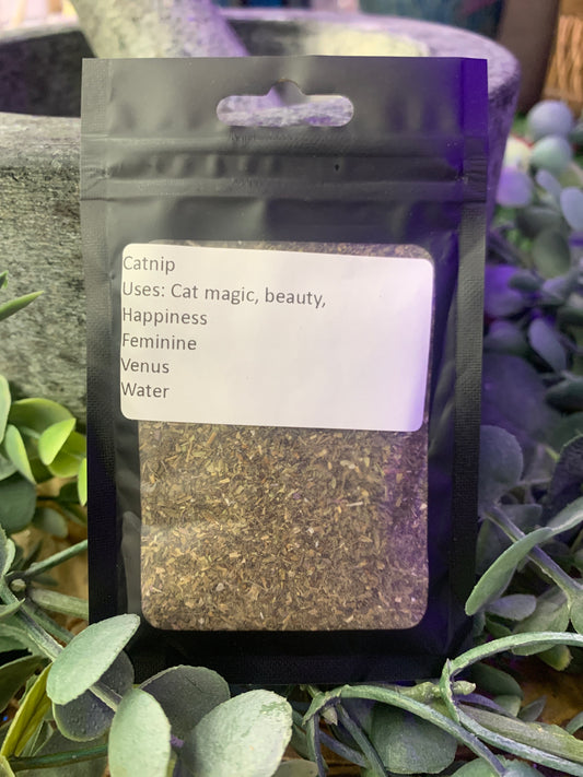 Catnip
