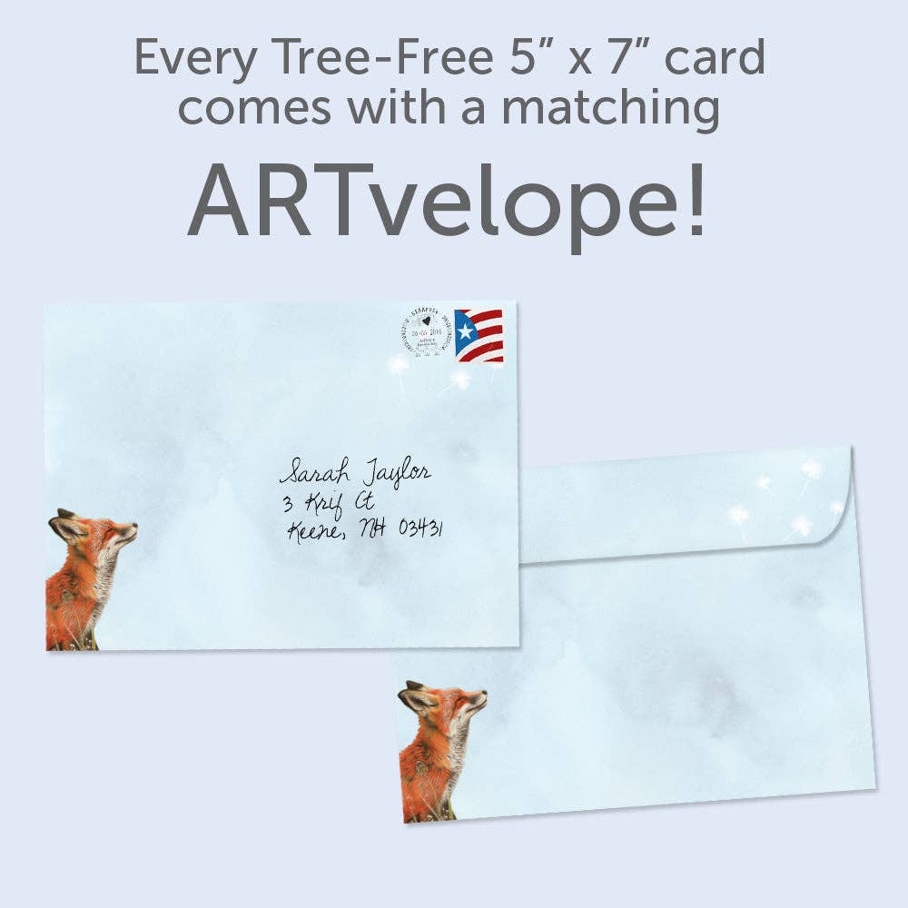Fox Wishes | 6-Pack Birthday Greeting Cards | SKU 22240
