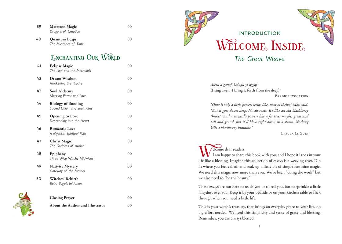 Spirit Weaver by Seren Bertrand: Paperback; 256 pages / English