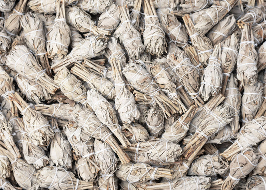 California White Sage (Salvia Apiana) Torch Smudge Sticks