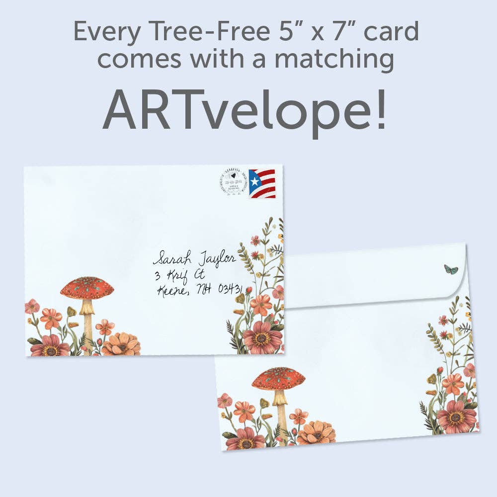 Dragonfly Toadstool | 6-Pack Birthday Cards | SKU 22245