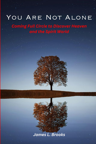 You are Not Alone: Coming Full Circle to Discover Heaven and the Spirit World - James L. Brooks
