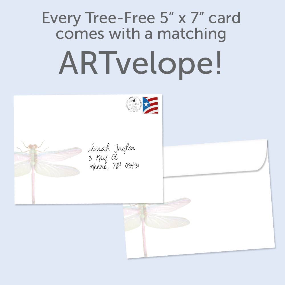 Remnants Of Magic | 6-Pack Just Because Cards | SKU 18043