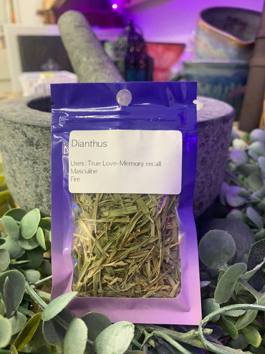 Dianthus Leaf