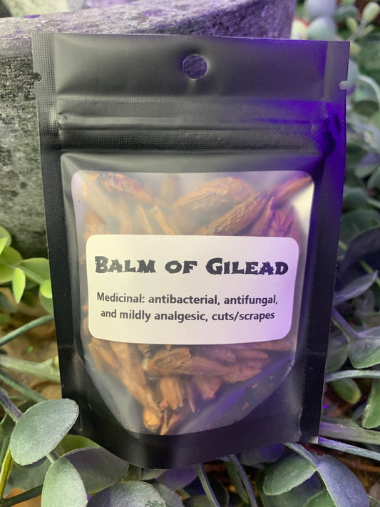 Balm of Gilead