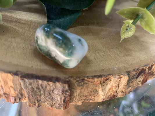Agate, Tree Agate