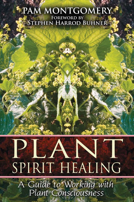 Plant Spirit Healing by Pam Montgomery: Paperback; 248 pages / English