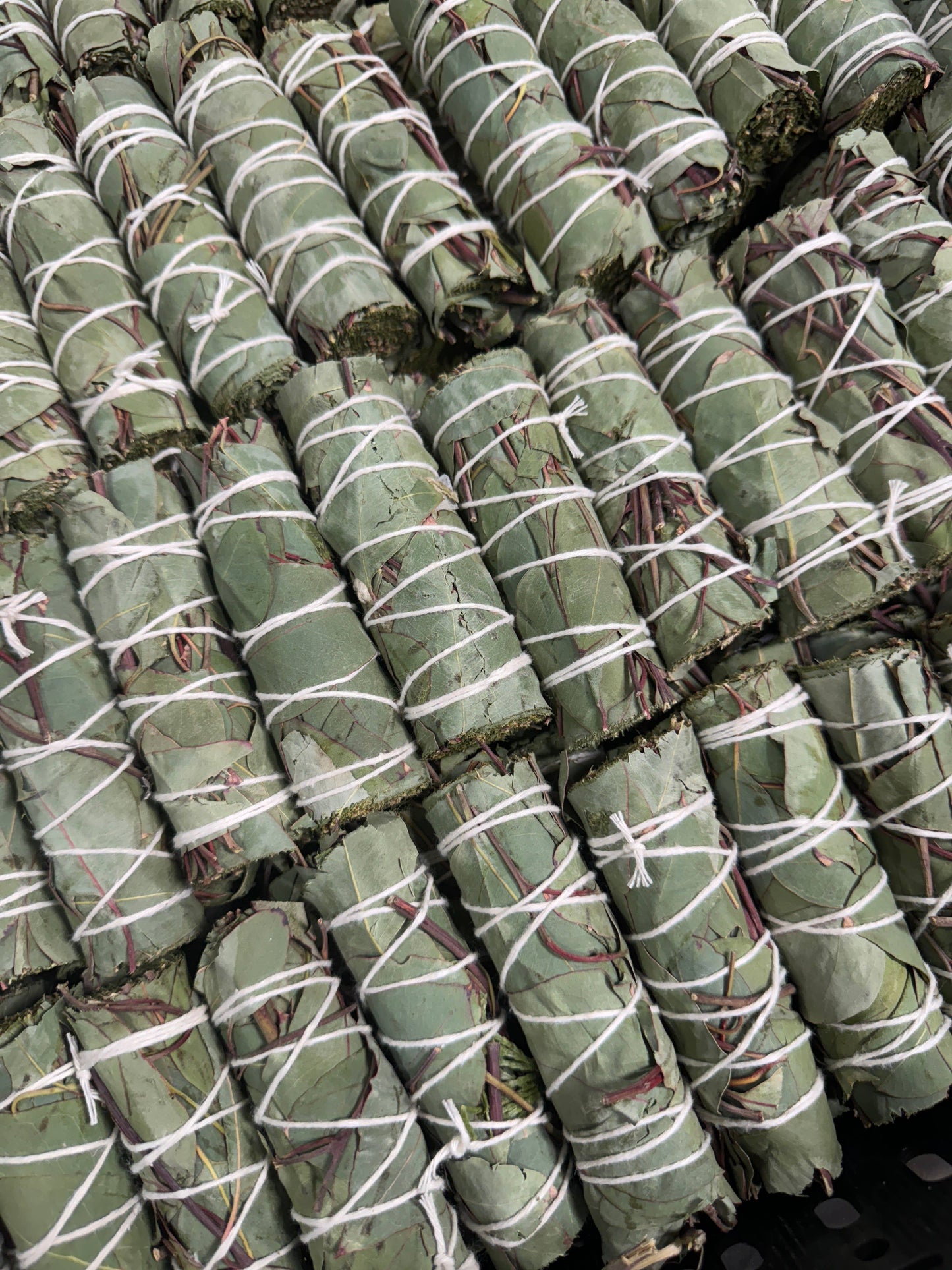 Eucalyptus Herb Wands, Eucalyptus Leaf Bundle