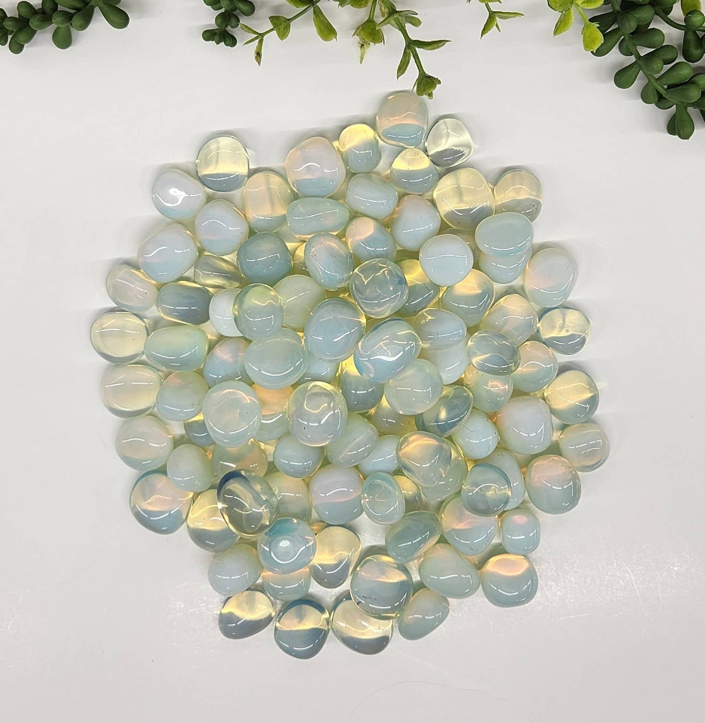 Opalite (1kg/2.2 lbs.) Tumbled Stone 20-25mm
