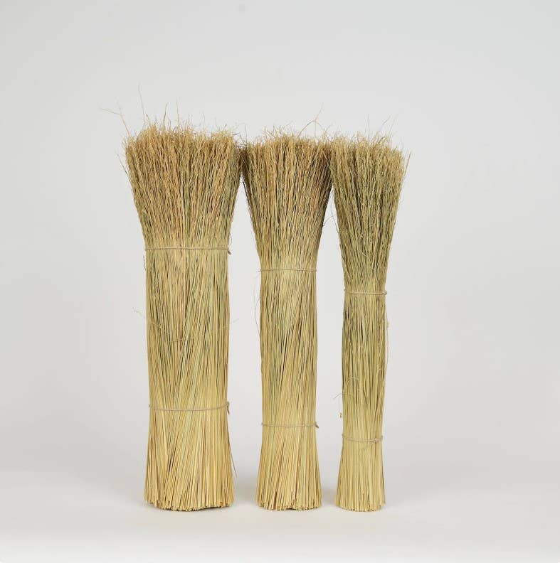 Broom Corn: 10 Pounds
