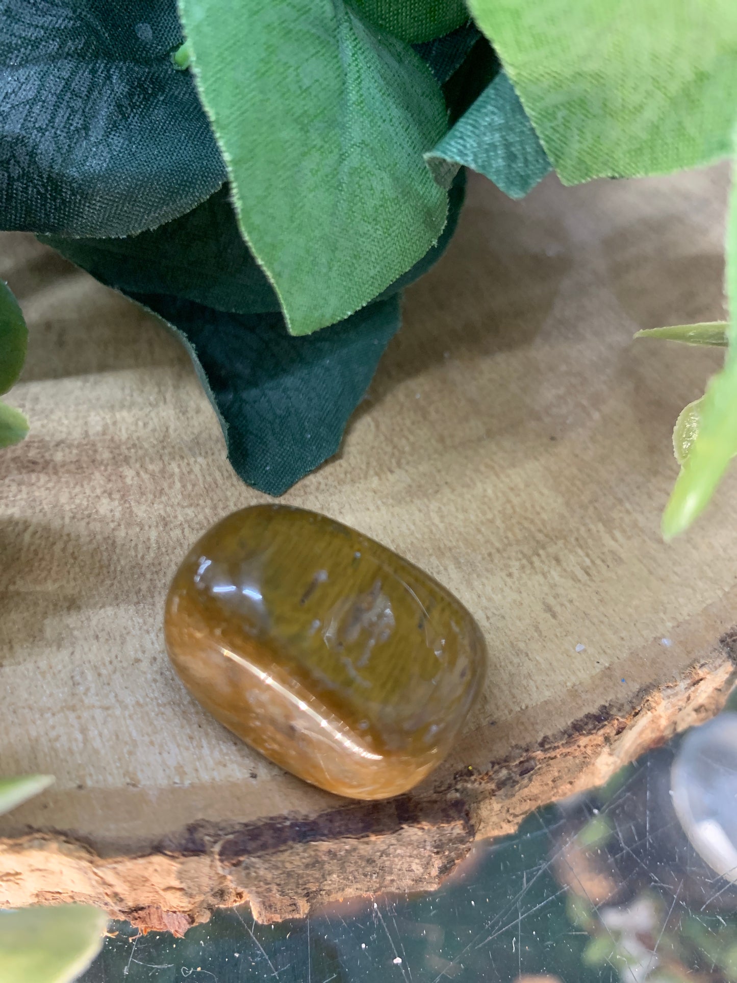 Petrified Wood