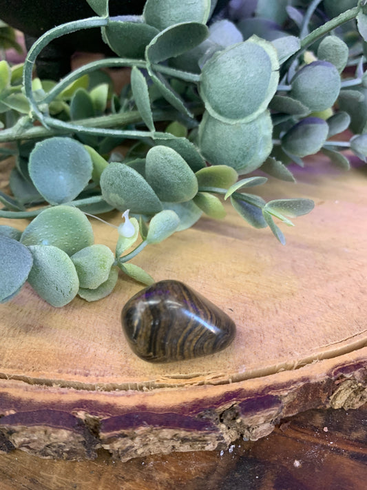 Stromatolite
