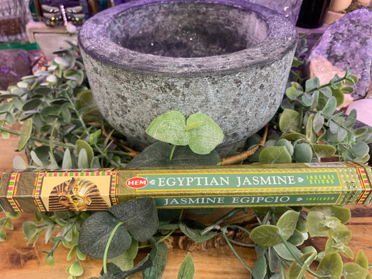 Egyptian Jasmine