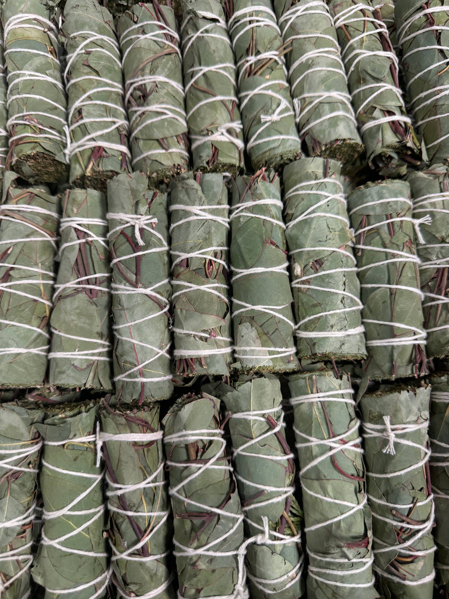 Eucalyptus Herb Wands, Eucalyptus Leaf Bundle