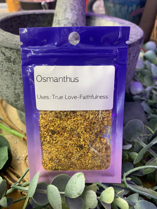 Osmanthus