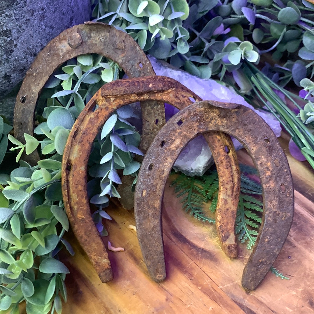 Horseshoe, used