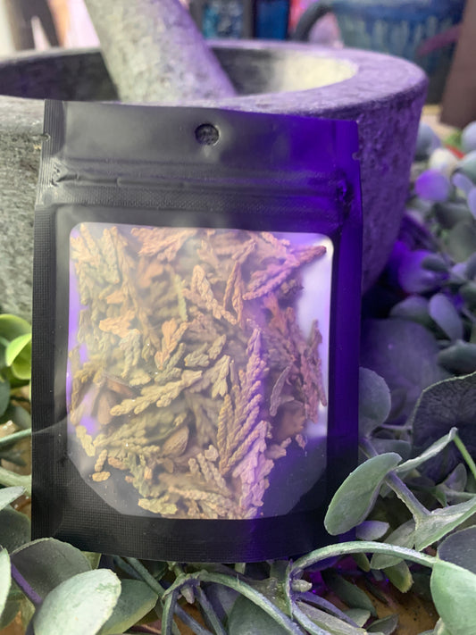 Cedar Tips