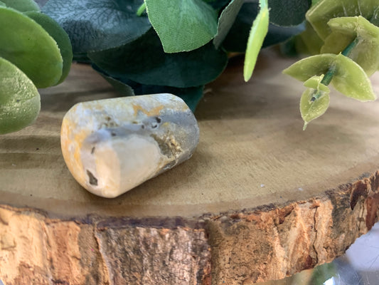 Jasper, Bumblebee