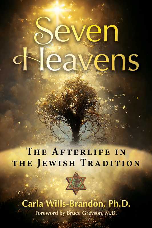 Seven Heavens by Carla Wills-Brandon: Paperback; 224 pages / English