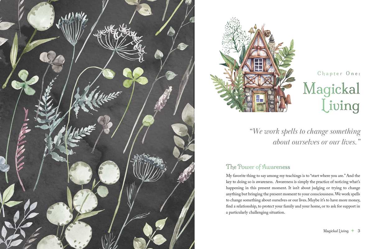 Witch's Apothecary: Seasons of the Witch by Lorriane Anderson: Hardcover; 256 pages / English