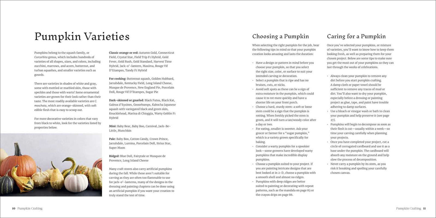 Pumpkin Crafting by Editors of Thunder Bay Press: Paperback; 128 pages / English