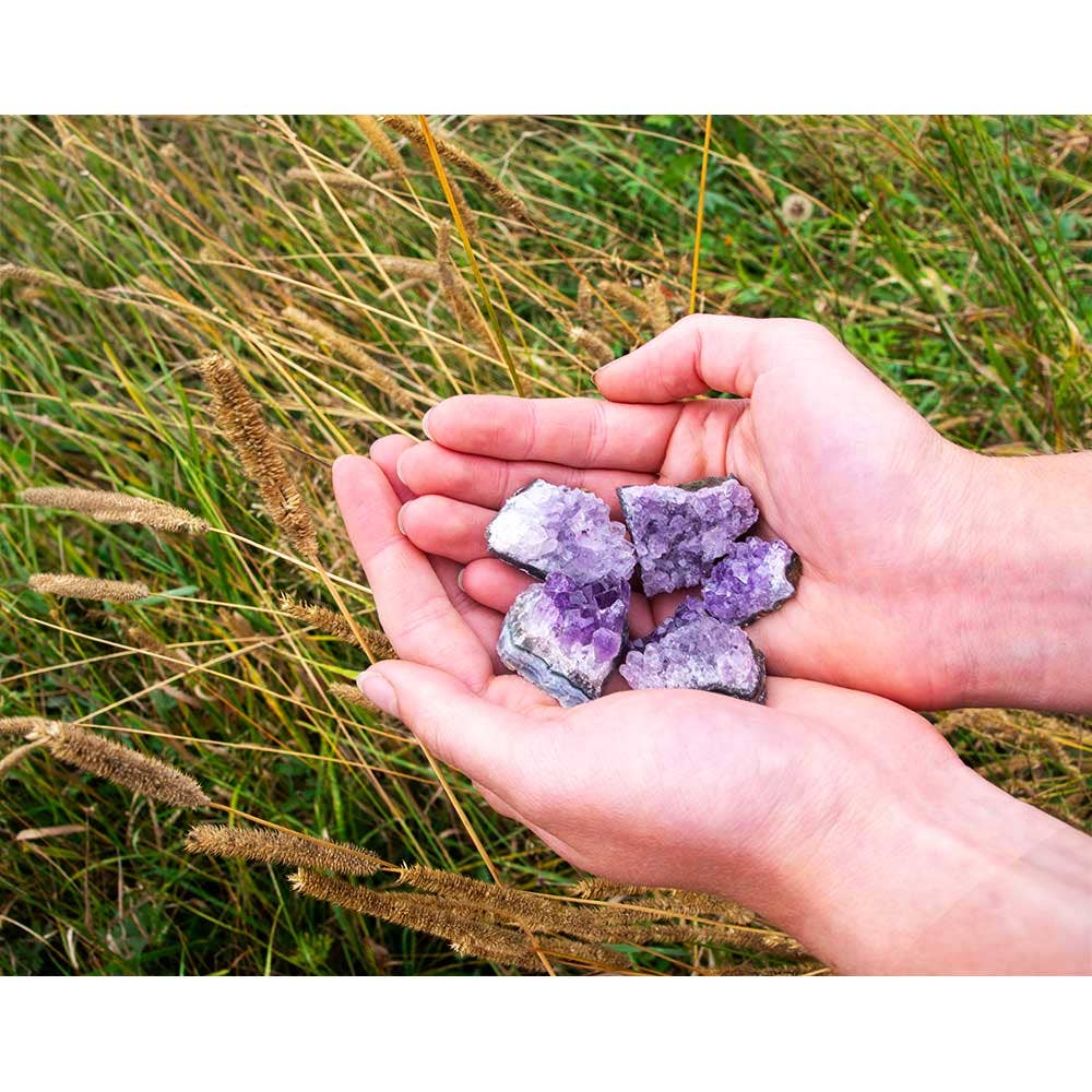 Rough Druzy Clusters - Amethyst Small (1lb): Amethyst