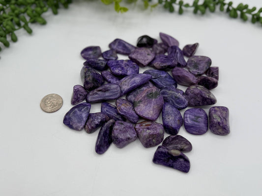 Charoite  Tumbled Gemstone 1 stone