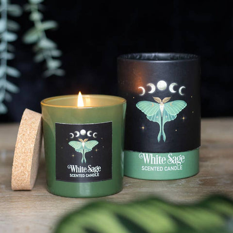 Luna Moth White Sage Scented Candle- Elements Home Fragrance