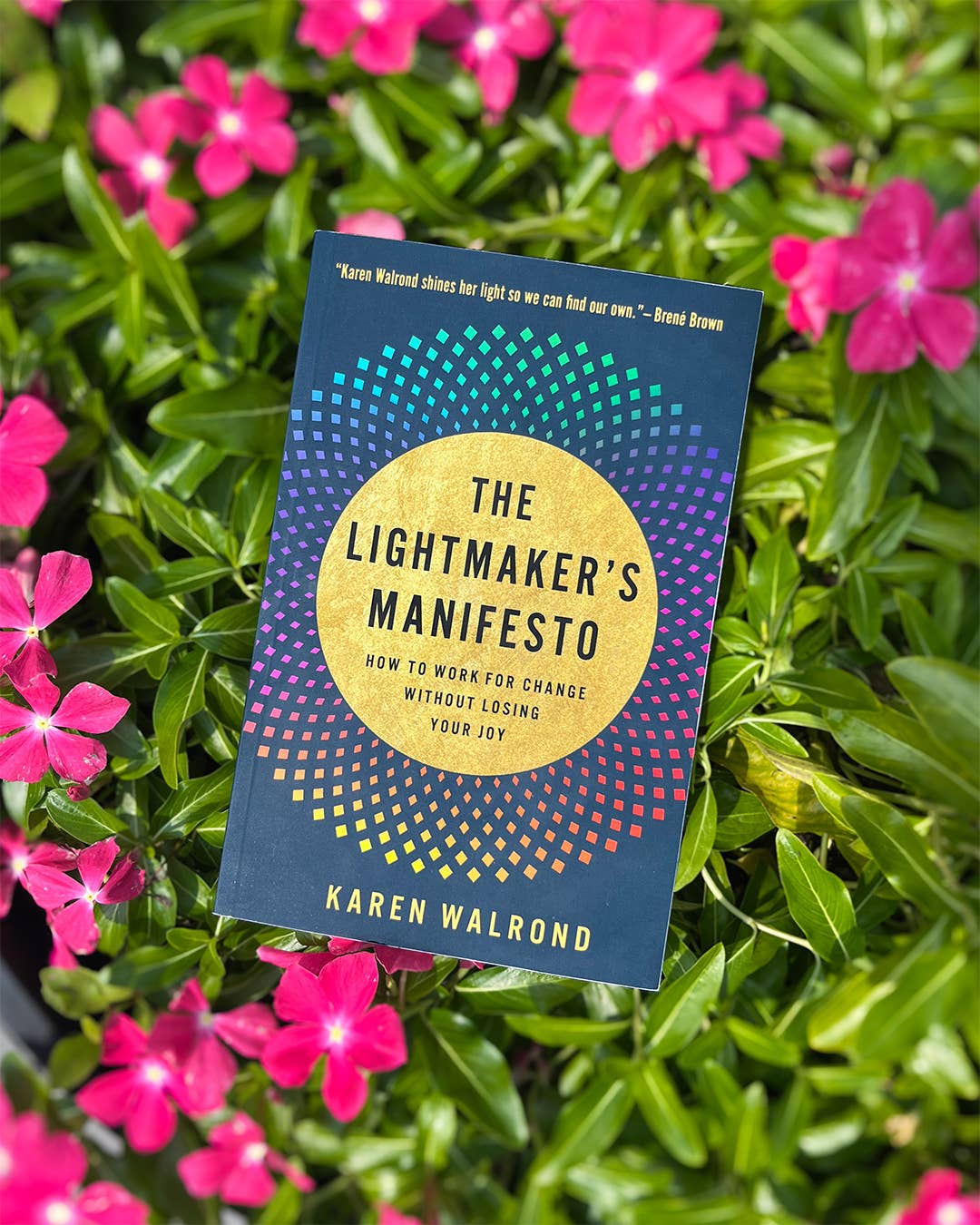The Lightmaker's Manifesto: Paperback