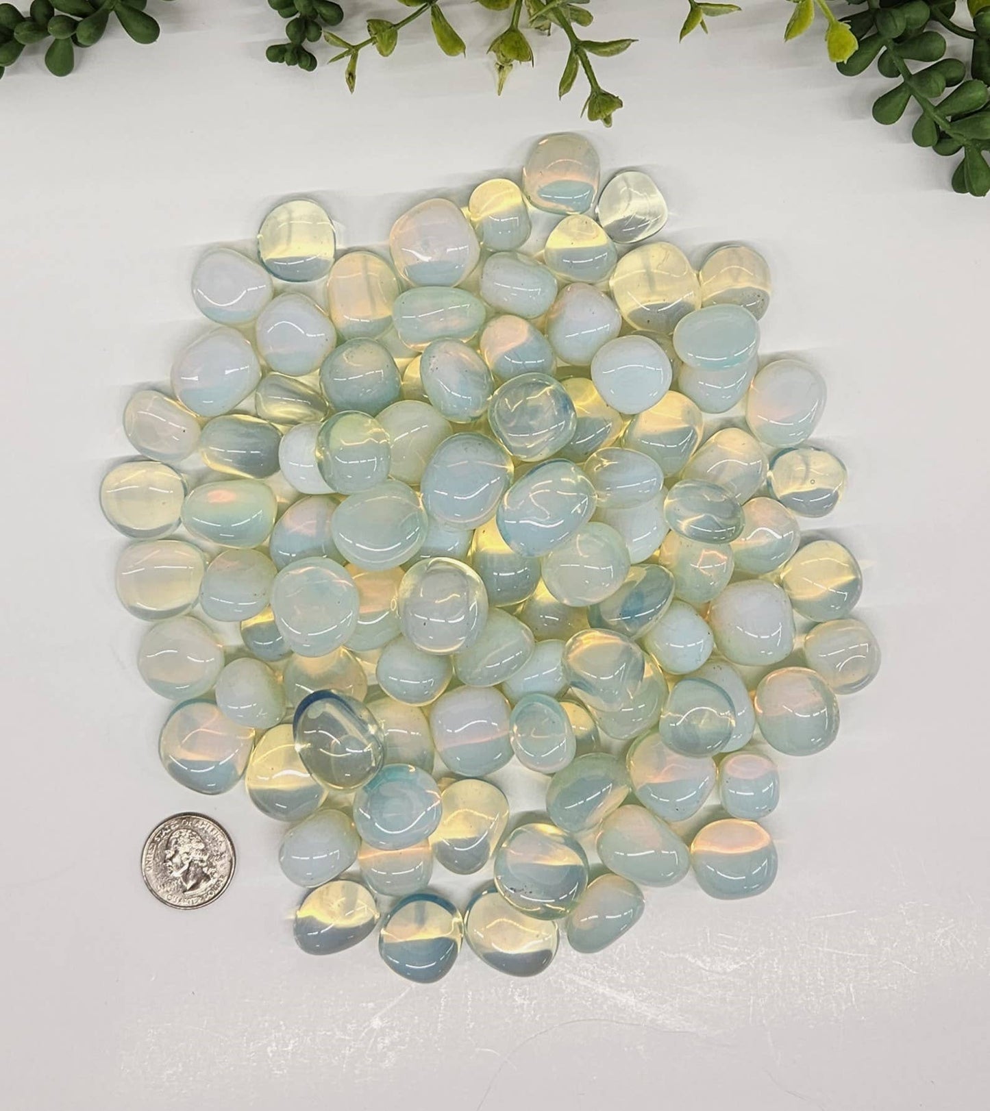 Opalite (1kg/2.2 lbs.) Tumbled Stone 20-25mm