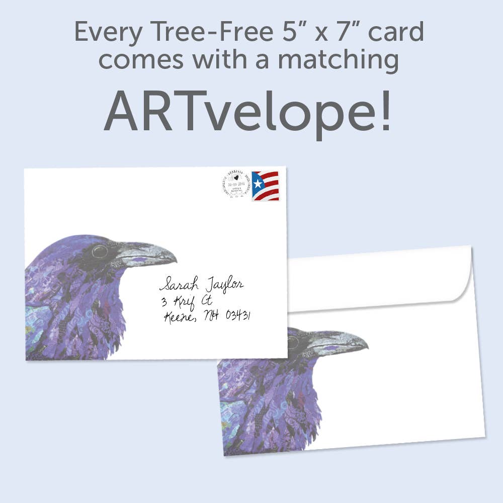 Healing Raven | 6-Pack Support & Encouragement | SKU 17418