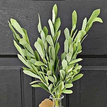 27065 - 14in Foamy Willow Leaves Bush-green