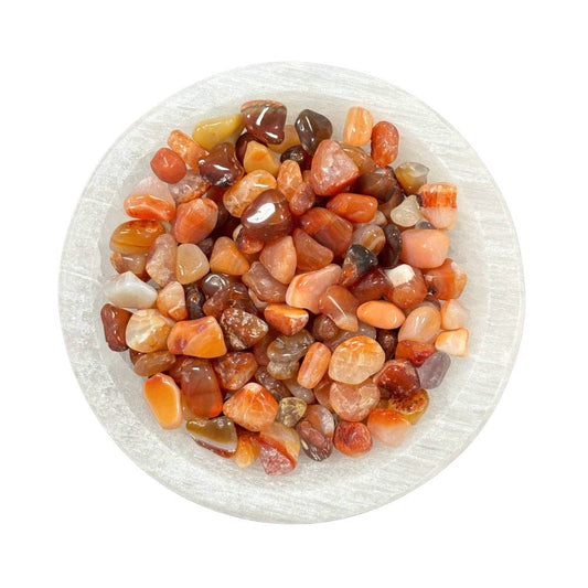 Create Your Own Intention Bottle Refill - Carnelian Chips