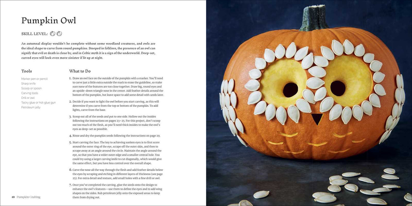 Pumpkin Crafting by Editors of Thunder Bay Press: Paperback; 128 pages / English